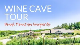 Sneak Peek: Better Wine Than Napa Valley Found at Yonah Mountain Vineyards
