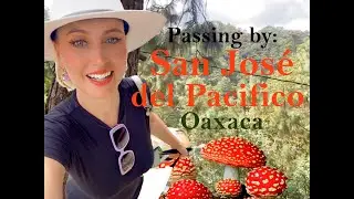 Passing by San Jos&eacute; del Pacifico on my bustrip from Huatulco to Oaxaca, Mexico