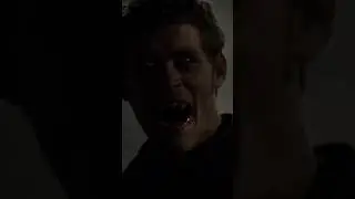 The only night full moon Klaus turned a wolf #klausmikaelson #vampirediaries #elijahmikaelson #tvd