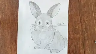 How to Draw a Cute Bunny 🐰 | Easy & Satisfying Drawing#animalart #art #drawing 