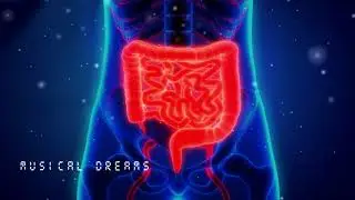 Constipation Relief Binaural Beats (8D AUDIO)➤Constipation Treatment➤Constipation Relief Frequency