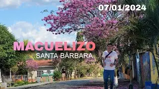 Macuelizo Santa Bárbara 2024  Árbol De Macuelizo, Azacualpa Valle. Lugares Muy Lindos, Hermoso 💚