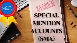 Счета, заслуживающие особого упоминания (SMA)