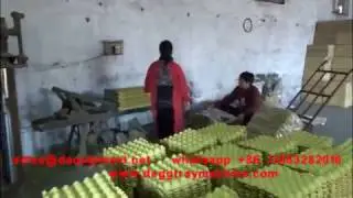 DT paper egg tray machine brick drying line