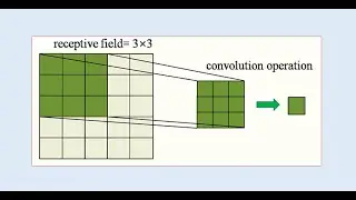 TOPIC 23 - RECEPTIVE FIELD