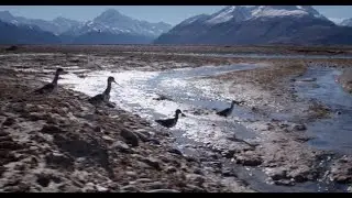 Te Manahuna Aoraki project launches