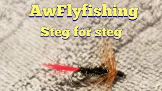 FLUGBINDNING steg f&ouml;r steg | RED TAG 2021( HARR FLUGA) #flugbindning #flydressing