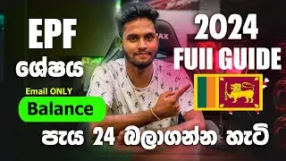 How to Check EPF Account Balance In Sri Lanka 2024 | Sinhala පැය 24න් පහසුවෙන් බලාගත්තේ මෙහෙමයි