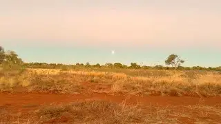 Day 14 Barkly Homestead to Elliot NT BigLap of Australia 2025 in Tesla