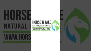 @horsentale  WashEez horse Shampoo give your equine athlete the glow up