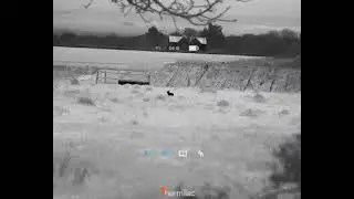 Thermtec Thermal Imaging Technology: Observing Wild Rabbits During Night Hunting