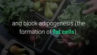 Flat Belly Fix Review / Overview Fat Burning Foods 2019