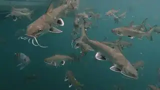 Tour Costero Isla Salango | Puerto L&oacute;pez 2023