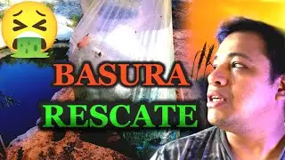 Rescatando Hermoso Cenote, limpie hasta la noche y Nade En Basura Para poder Limpiarlo