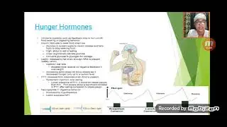 Central mechanism of Hunger and Satiety