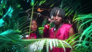 Ifarasi by david d  official video