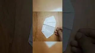How to Make a Paper Plane Fly Like a Bat | Flying Paper Plane Like Bat #diy #plane