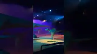 Dinos e Drag&otilde;es AO VIVO!