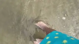 Beach De Haan (14.08.2025)
