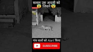 😱 OMG 😱 तेंदुआ घर में घूस गया 😳😳#tendua #trending #viral #ytshorts