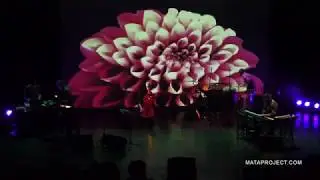 MATA PROJECT - Circle Mood