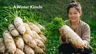 [2] From Garden to Table Harvesting White Radish for Homemade Winter Kimchi