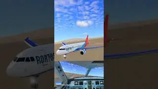 Bird Strick And Plane Just Survived The Crash Emergency Landing|| Chidiya Ki Wajah Hona Tha Crash