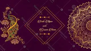 Wedding Invitation Video Templates | Wedding Invite Video | IM-503