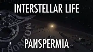Does Interstellar Panspermia Seed Life? Featuring Dr. Karen Meech