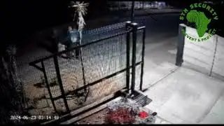 Theft of generator