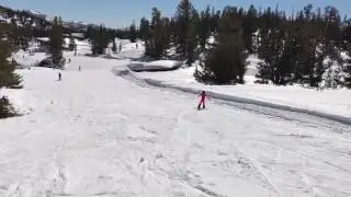 Addie Boarding