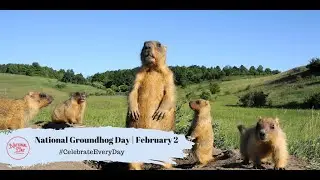 National Groundhog Day | February 2
