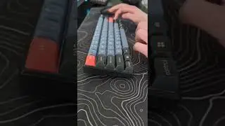 Ali express holy pandas