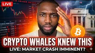 Should You Exit Crypto? The Truth Behind This Crash