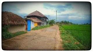 (No Music) Walking in Rain Through Scenic Village Road, Indian Village in Rainy Season, ASMR