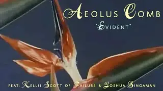 Aeolus Comb - 