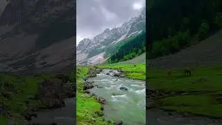 Beautiful of Sonamarg❤️🏔️ #jannatkashmir#mountains#glacier #travel #sonmarg#nature#sukoon #roadtrip