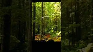 You want Tutorial (colour grading) #shortvideo #shorts #intro #gaming #effects