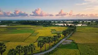 Bangladesh Village Drone View 4K | Beautiful Paddy Fields Road Cinematic 2026