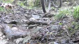 singlespeed