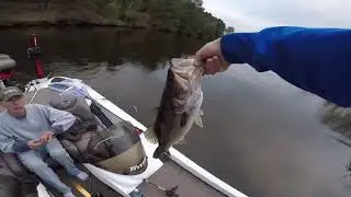 Texas Bassin