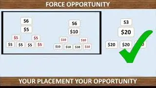 Metaforce classic plan