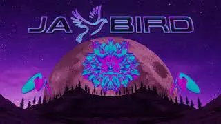 MRVLZ x Jay Bird- Alive feat DNAKM (Official Video)
