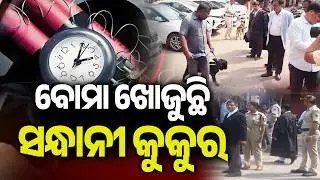 Multiple Odisha Courts Receive Bomb Threat Emails, Investigation Underway | Kalinga TV