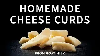 Homemade Cheese Curds from Goat Milk | How to Make Goat Milk Cheese Curds | Goat Milk Cheese Curds