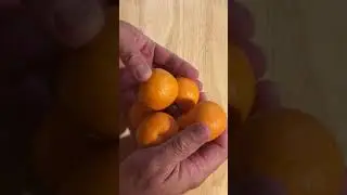 Modeling octahedral and tetrahedral holes with fruit