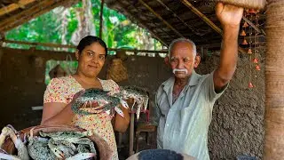 the secret to cooking delicious crabs! crab curry & fried crabs