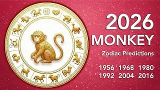 2026 Monkey Zodiac: The Silent Double Clash You DIDN'T See Coming!