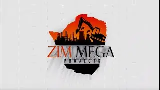 ZIM MEGA BEITBRIDGE 2