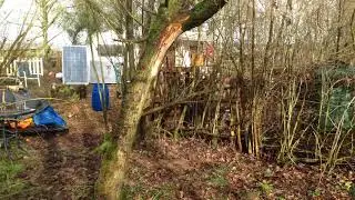 How to Recognise Standing Deadwood in Winter